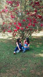 Rear view of girl sitting on grass in park