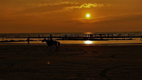 Silhouette horse on beach against sky during sunset