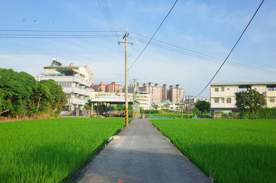 View of buildings in city