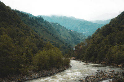 Scenic view of river flowing through forest