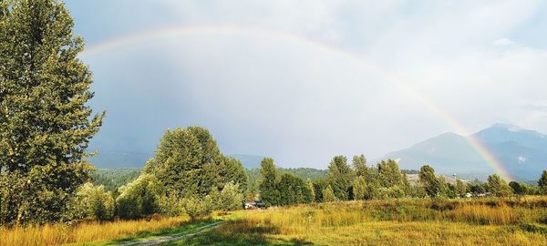 Scenic view of rainbow against sky