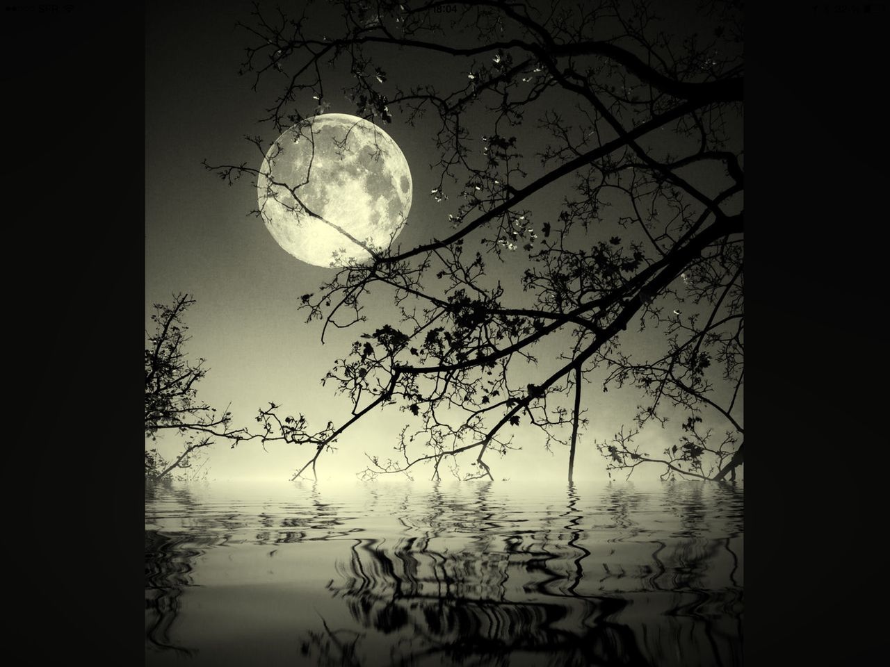 sky, water, silhouette, tranquility, beauty in nature, nature, reflection, moon, scenics, tranquil scene, bare tree, astronomy, planetary moon, transparent, night, low angle view, drop, tree, full moon, dusk