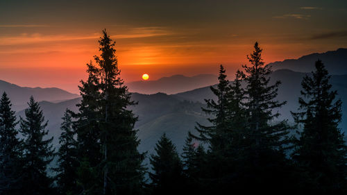 Scenic view of silhouette trees against sky during sunset