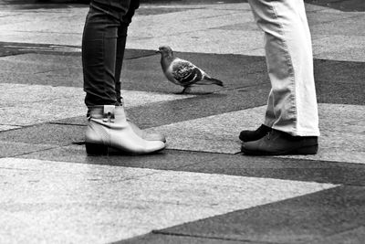 Low section of people walking on sidewalk