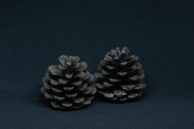 Close-up of pine cone on table against black background