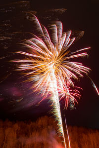 Firework display at night