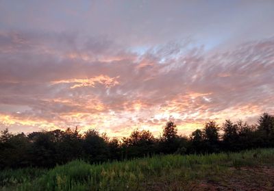Scenic view of field against sky during sunset