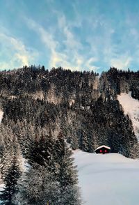 Snow covered land against sky