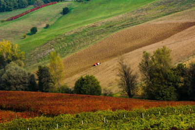 Scenic view of agricultural field