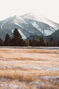 Scenic view of snow covered mountains