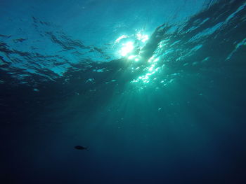 Sunlight streaming through water in sea