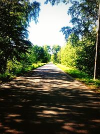 Road amidst trees in forest against clear sky