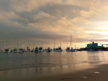 Sailboats moored in marina at sunset