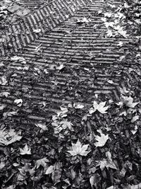 Full frame shot of landscape