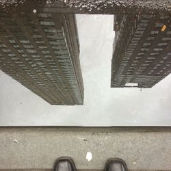shoe