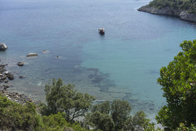 High angle view of sea and trees