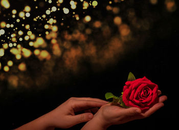 Close-up of hand holding rose bouquet