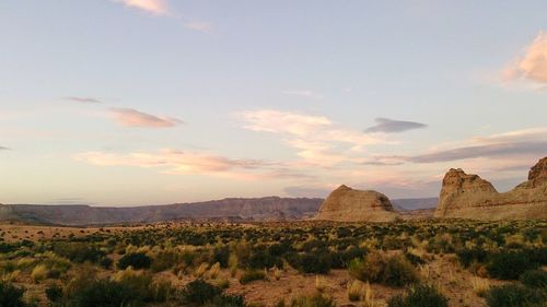 Scenic view of landscape against sky