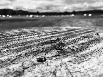 Close-up of water at beach