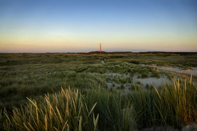 Dunes and lighthouse, ameland