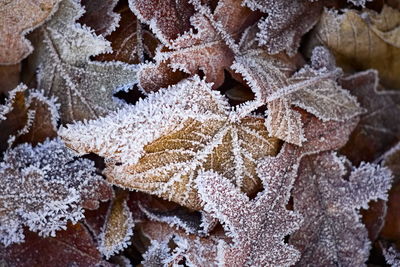 Full frame shot of frozen ice