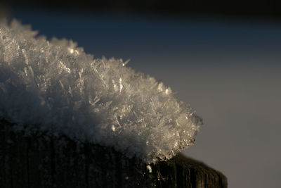 Close-up of frozen ice on wood during winter