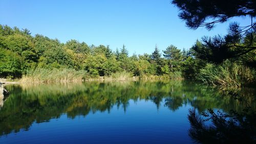 Scenic view of lake against clear blue sky