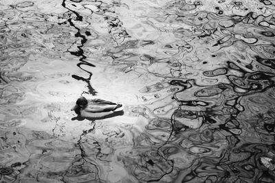 Reflection of trees in water