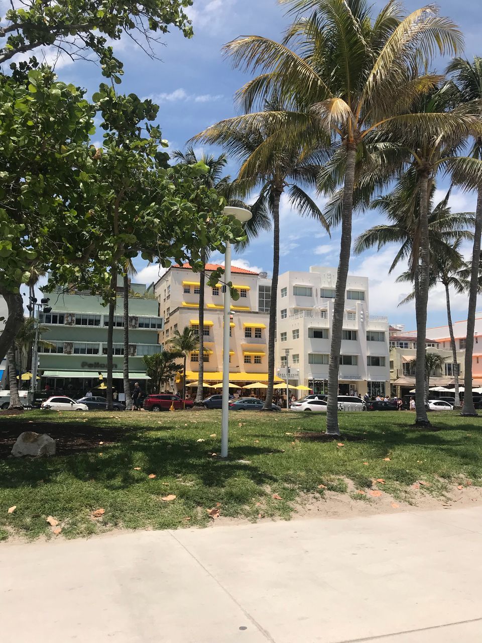 plant, building exterior, architecture, tree, built structure, tropical climate, palm tree, nature, sky, city, building, growth, no people, day, grass, outdoors, street, footpath, residential district, cloud - sky, apartment, coconut palm tree