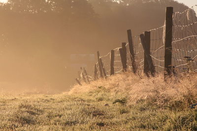 Sunrise in rural kent, uk