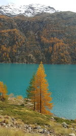 Scenic view of landscape during autumn