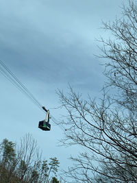 Low angle view of bare trees against sky