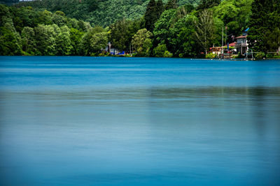 Scenic view of sea against trees