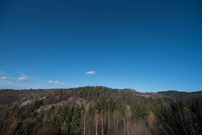 Scenic view of landscape against clear blue sky