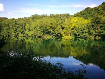 Scenic view of lake by trees in forest against sky