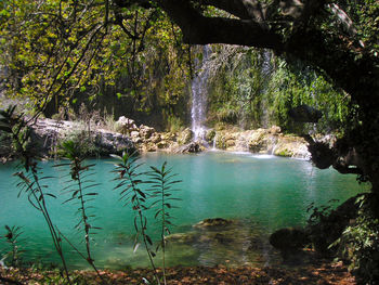 Scenic view of waterfall in forest