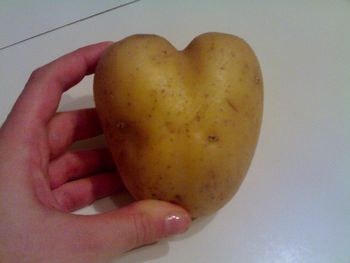 Cropped image of person holding apple