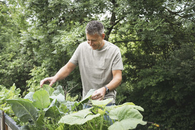 Full length of man having food in farm