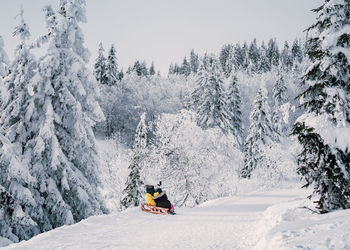 Rear view of people sitting on sled taking selfie amidst snow covered trees