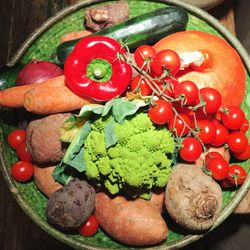 High angle view of tomatoes