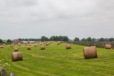 Hay bales on field against sky