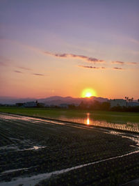 Scenic view of field against sky during sunset