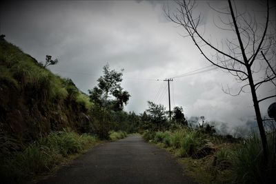 Road amidst trees against sky