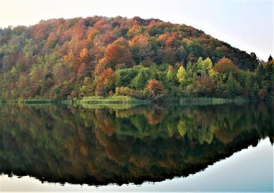 Scenic view and lake reflections during autumn
