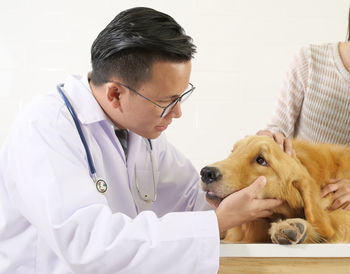 Veterinarian examining dog