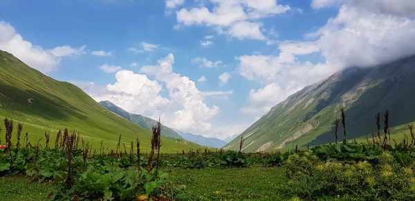 Panoramic view of landscape against sky