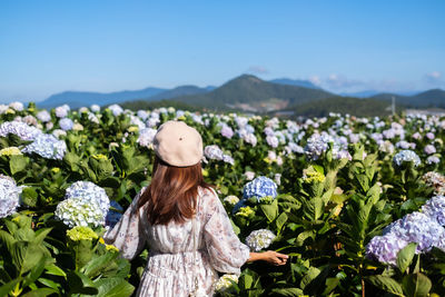 Rear view of woman standing by flowering plants against sky