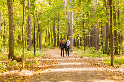 People walking on footpath amidst trees in forest