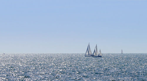 Sailboats sailing in sea against clear blue sky