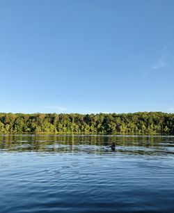 Scenic view of lake against clear blue sky